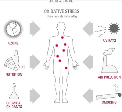 Immunstimuláló hadművelet anti-aging módra