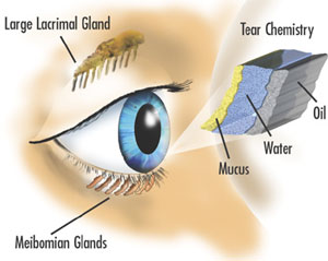 A szem alatt vörös foltok lehúzódnak és viszket a fénykép Sechenova pikkelysömör kezelése