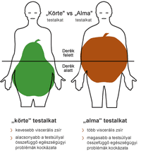 hasi elhízás magas vérnyomás)