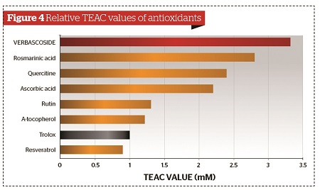 BY SANDEEP CLIFF / DECEMBER 16, 2013 / Antioxidánsok Relatív TEAC (antioxidáns kapacitás) értékei