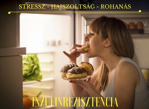 A stressz és a rohanó életmód hatása a szervezetre: mi is az az Inzulinrezisztencia?