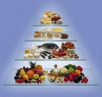 Metabolic Balance - orvosi táplálkozási program